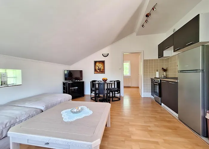 Nenad Appartement *