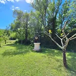 Apartman Nenad *